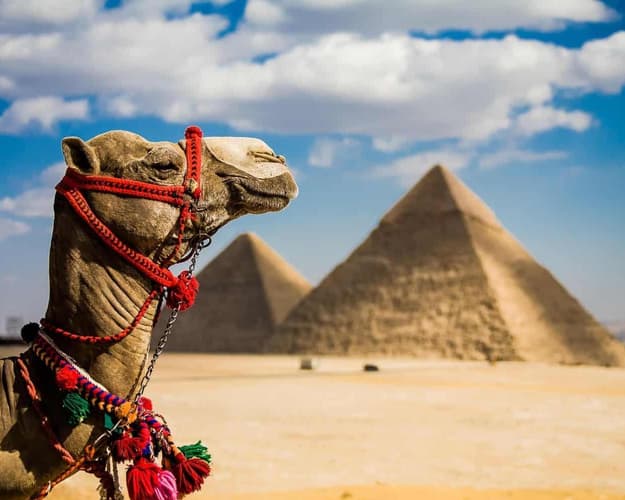 Image - EGIPTO TODO INCLUIDO