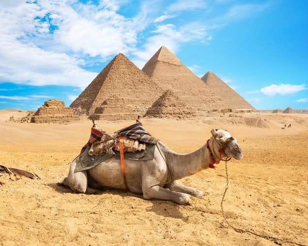 Image - MTPE-20040 SOLO CAIRO