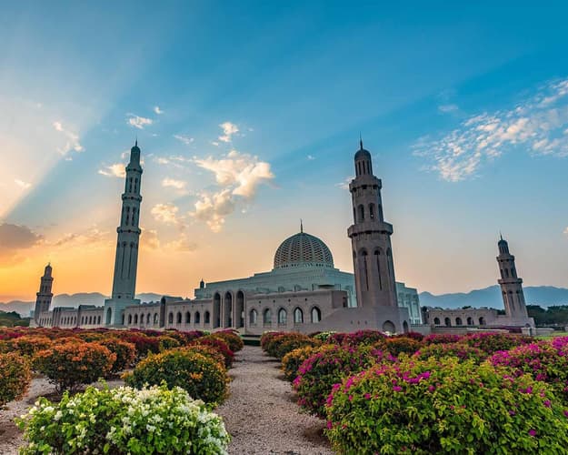 圖像 - MUSCAT VALUE FIT TOUR - 5NIGHTS