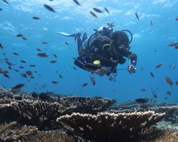 画像 - Dive Trip To Daymaniyat Islands | Explore underwater wonderland