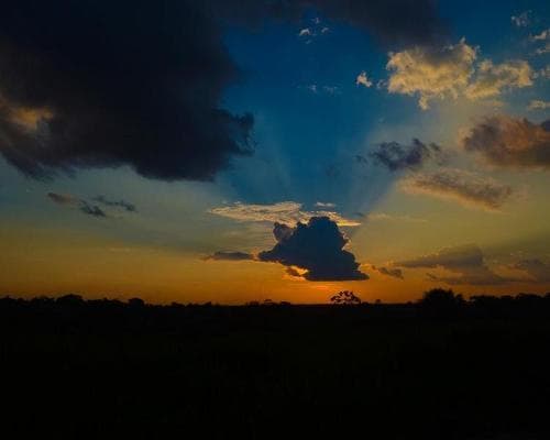 Kép - Kurztour "Heliconia Amazon Lodge"