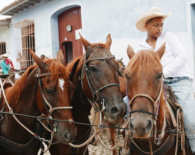 Resim - Minitour Sabor Cubano