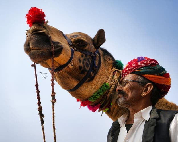 Image - EXPLORE INDIA Incantata: Festival di Holi, Tigri Regali