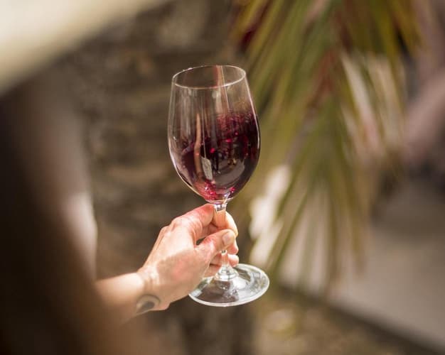 Imagen - Ruta del vino Buenos Aires - Mendoza