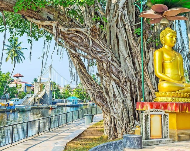 Image - Beauties of Sri.Lanka