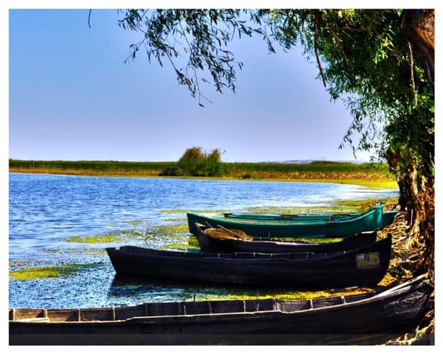 Image - Transylvanie et Delta du Danube
