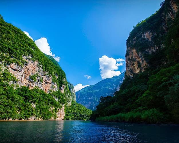 Bilde - LACANDONA CLASICO (CVU)