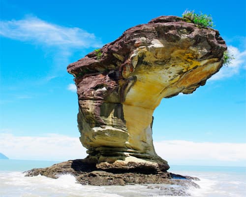 Image - Rundreise "Borneos Geheimnisse"