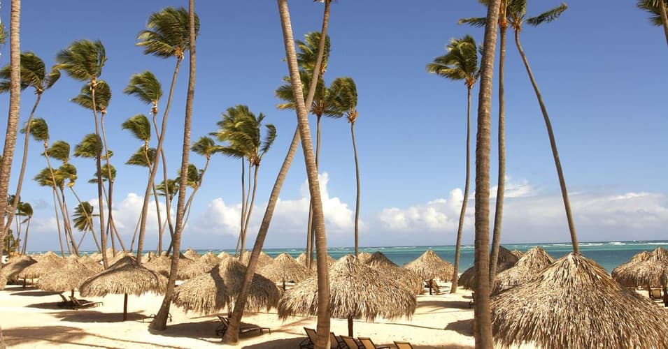 Imagen - Zel Punta Cana, Punta Cana