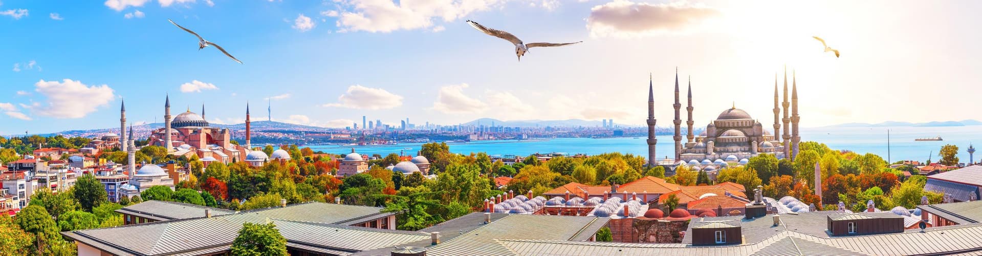 Imagem - Número de referência: 4788073