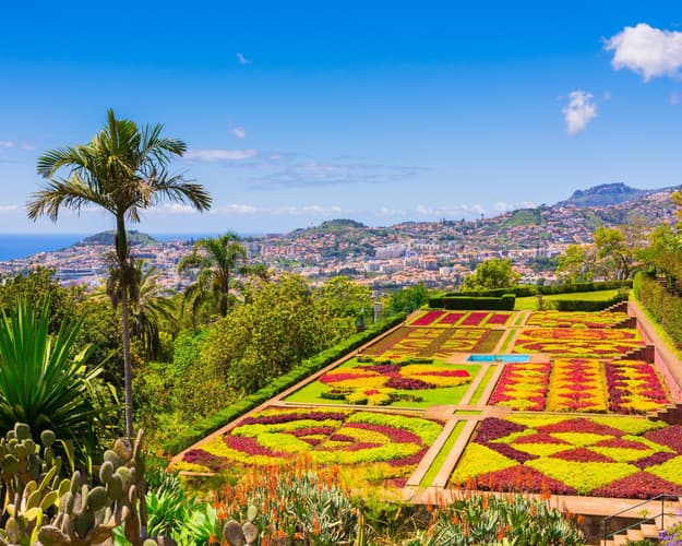 Образ - Funchal, Madeira desde Canarias
