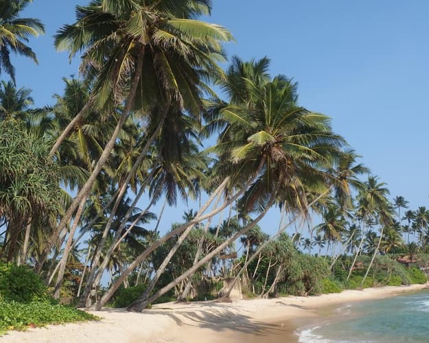 Obraz - Rundreise "Buntes Rajasthan mit Ranthambore"