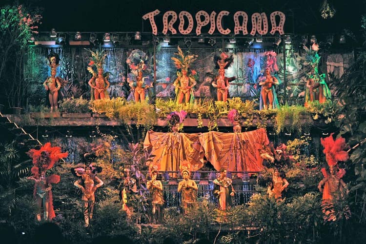 Imagen - Entrada a Tropicana