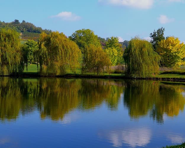 Imagen - 7N + Villa Carolina +2GF + Cena + Chocolate