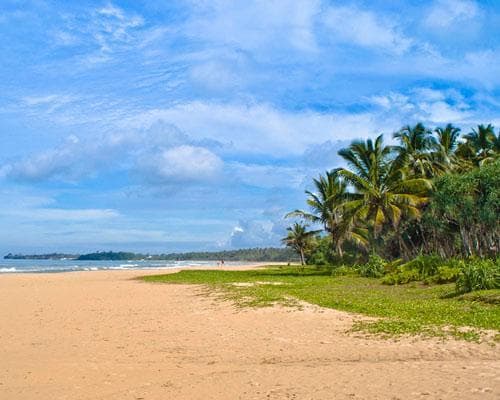 Image -  Beach holiday in Bentota & Udawalawe Safari, Sri Lanka