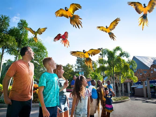 Image - Entradas Tampa Bay CityPASS