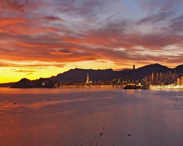 Bild -  Enjoy Benidorm's gastronomy