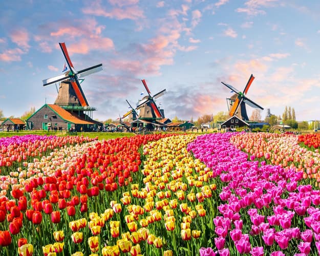 Imagem -  Combinado Ámsterdam, Brujas y Bruselas 2025