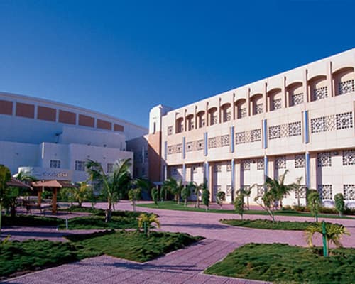 صورة - Full Day Jeddah Historical City Tour-Sharing