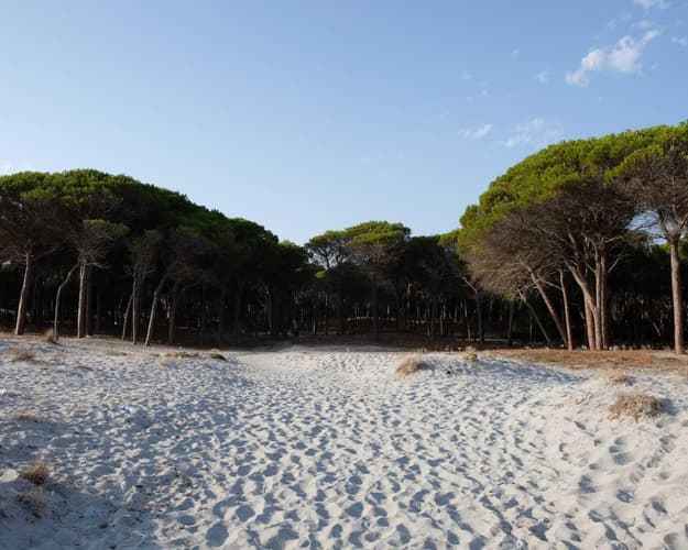 Immagine - Selema Camping