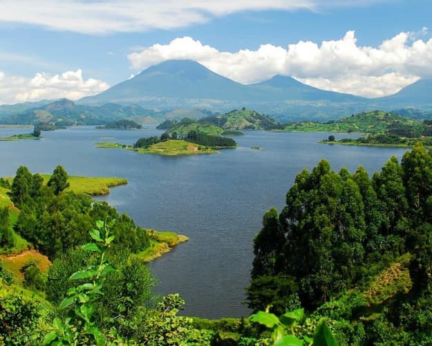 Imagen - Uganda - Aventura de Safari de Primates 