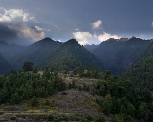 Image - Wandern auf La Palma & Teneriffa