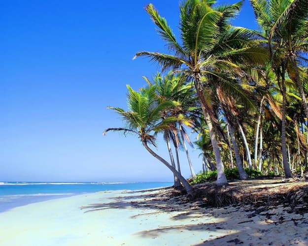 Imagen - Punta Cana, 7 noches de hotel de 4 estrellas