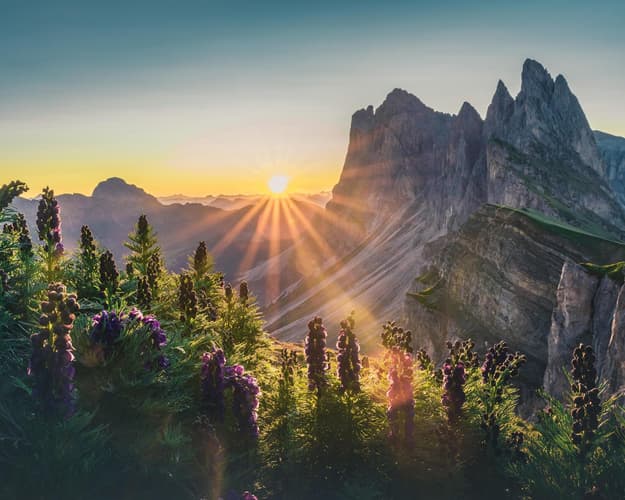 Immagine - Sonnenresidenz Kastelruth****- Castelrotto