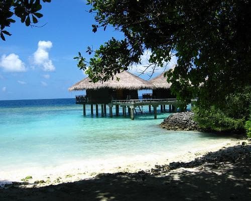 Podoba - MALDIVI 3 otoki 14 noči v avgustu