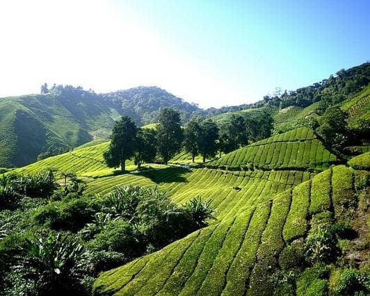 Obraz - Kuala Lumpur to Kuala Lumpur