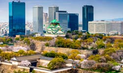 Immagine -  Giappone & Mauritius-primavera 2024