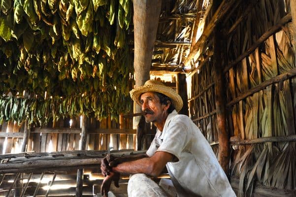 Obraz - Rundreise "A lo Cubano" & Turks- und Caicosinseln