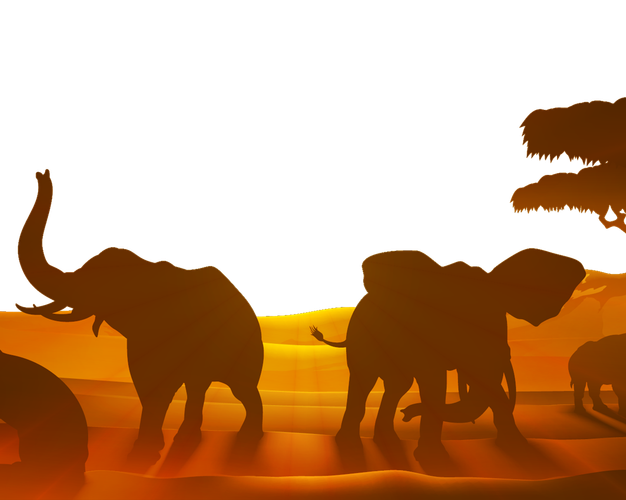 画像 - Inkomu South Africa