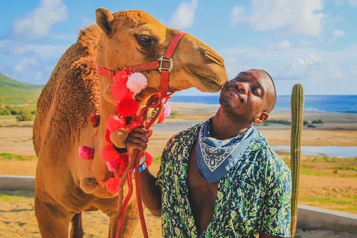 Image - PASEO EN CAMELLOS EN LOS CABOS 