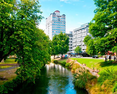 Imagen -  Fly & Drive La Senda Kiwi