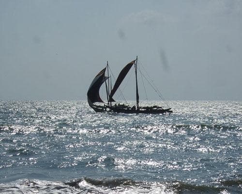 Kép - Transfer-Tour West-Ostküste (Trincomalee) mit Übernachtung &