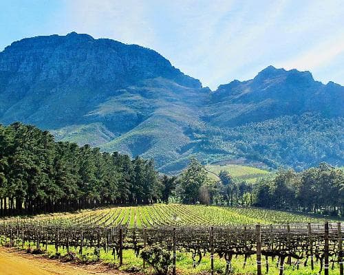 Beeld -  Hoogtepunten van Zuid-Afrika