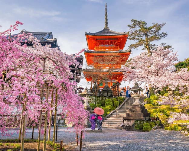 Imagine -  Circuit Sakura, Japonia - martie 2026