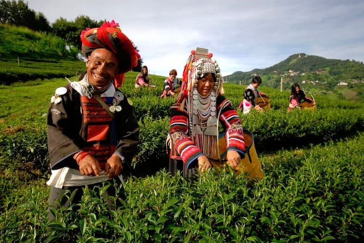 Изображение - Rundreise "Nordthailand & Goldenes Dreieck"