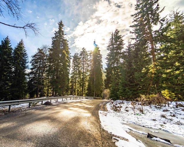 תמונה -  Georgia