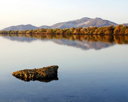 Imagen - DUBAI CON 02 NOCHES EN ABU DHABI