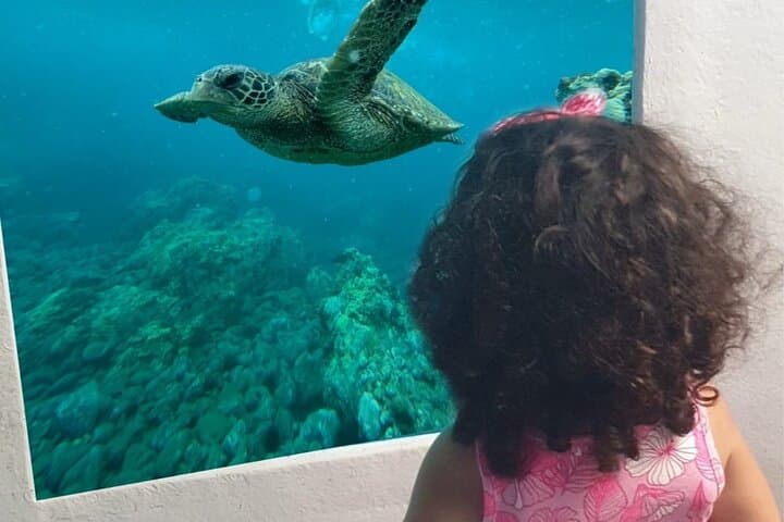 Imagen -  Children's Holiday in Cyprus - Aprilie