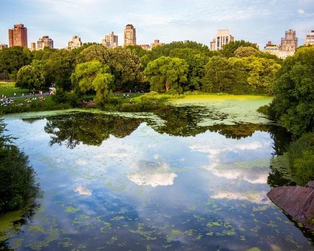 Imagen - Otoño en Nueva York 