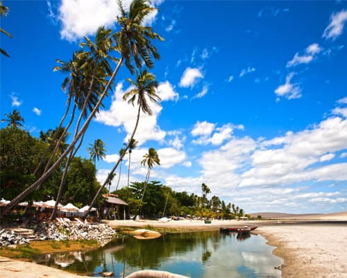 Imagen - Jericoacoara, Brasil