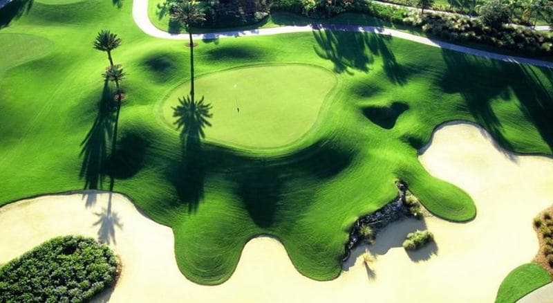 Bild - Golfurlaub in Florida inklusive Badestopp und Mietwagen