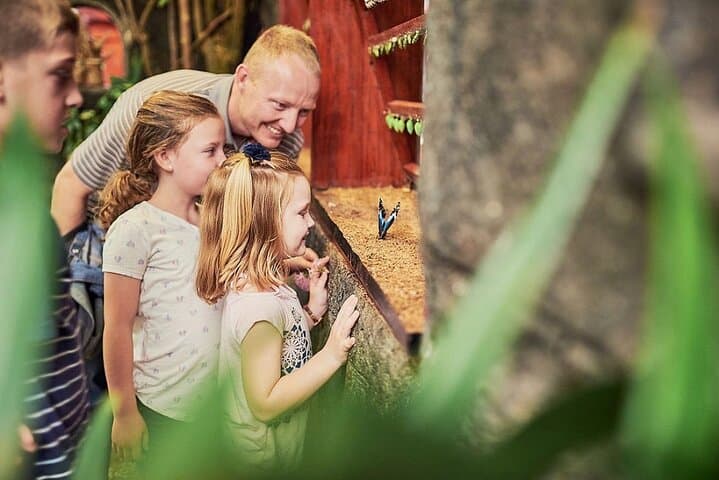 Image -  Childrens' holiday: Discover Costa Rica - February 2026