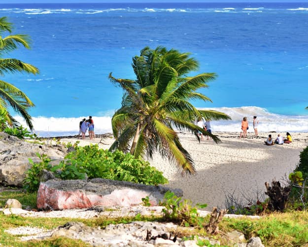 Beeld - Strandvakantie Barbados
