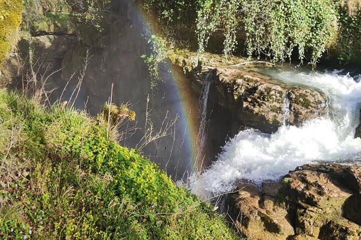 Image -  Georgia untapped