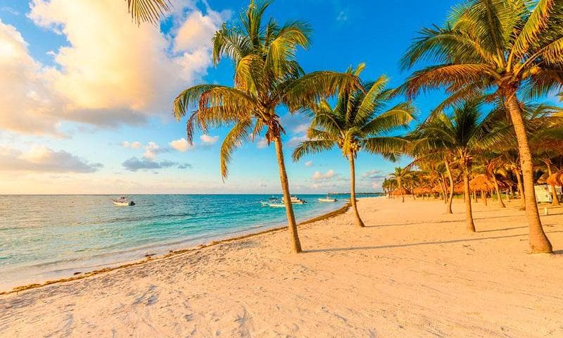 Imagen - Playa del Carmen - Hotel Wyndham Alltra con vuelo incluido