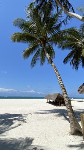 Image - Holiday in Diana Beach, Kenya - November 2025 